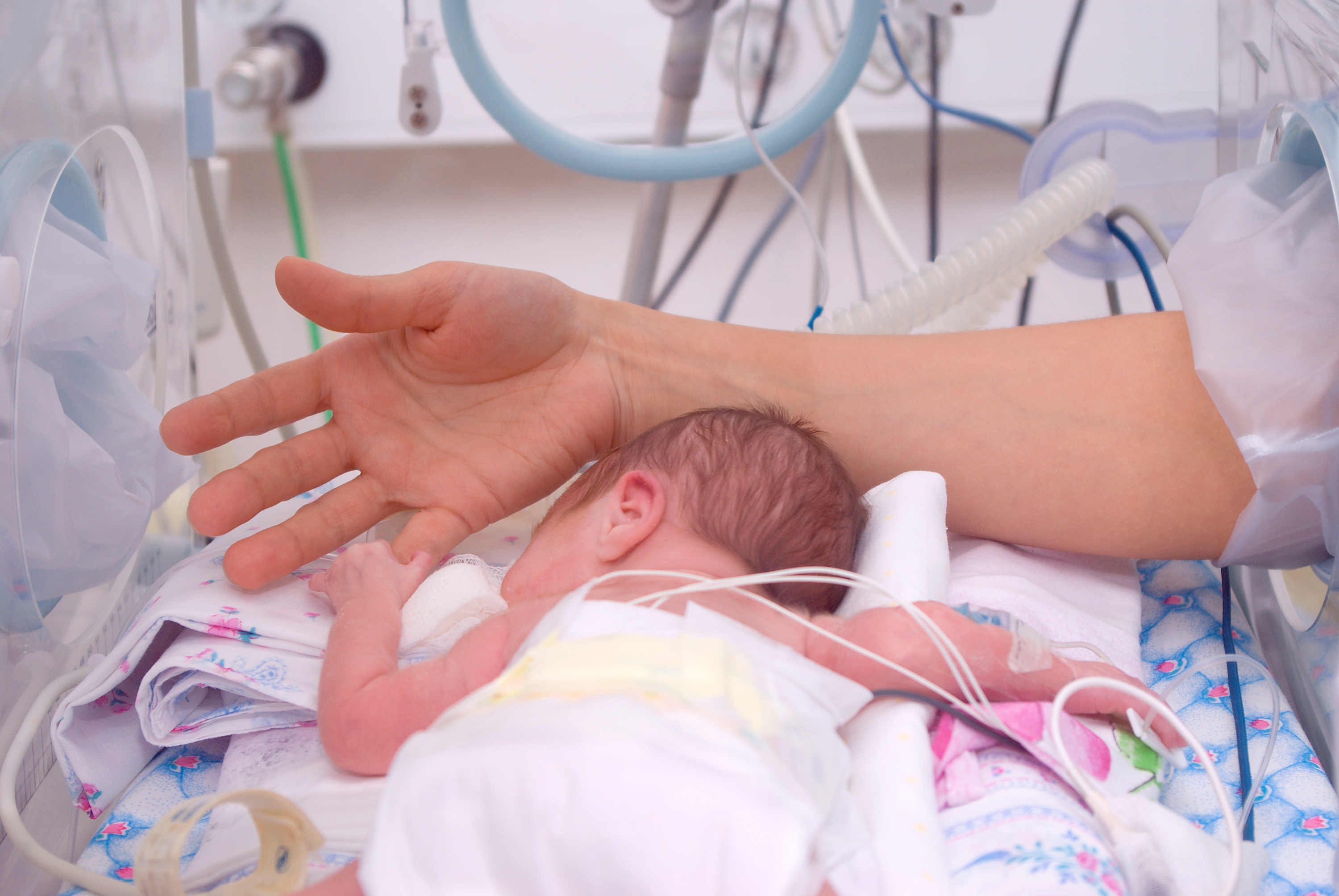 A face-down infant in an incubator clutches the finger of an adult's hand