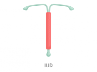 Intrauterine device