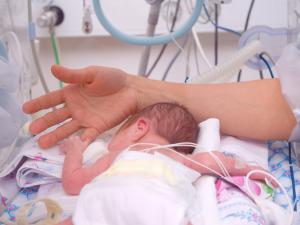 A face-down infant in an incubator clutches the finger of an adult's hand